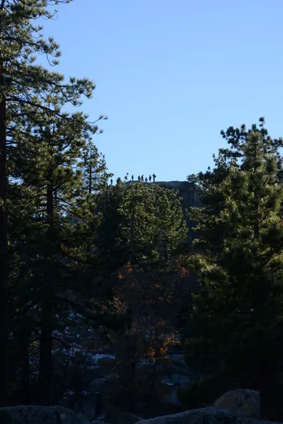 DSC_5231 (Large).JPG